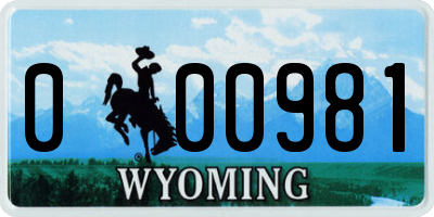 WY license plate 000981
