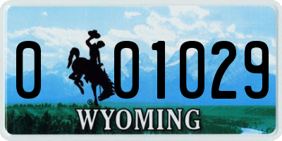 WY license plate 001029