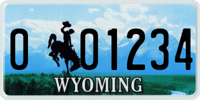 WY license plate 001234