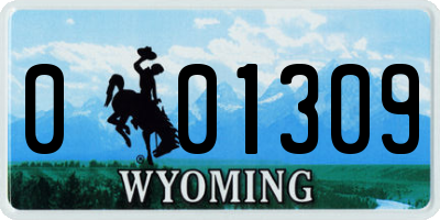 WY license plate 001309