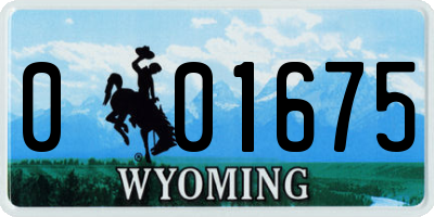 WY license plate 001675