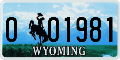 WY license plate 001981