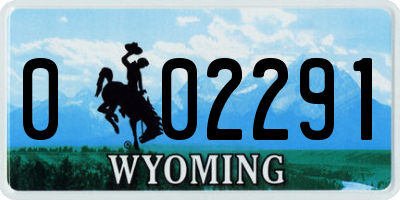 WY license plate 002291