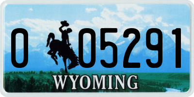 WY license plate 005291