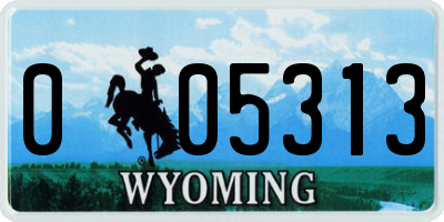 WY license plate 005313