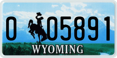 WY license plate 005891