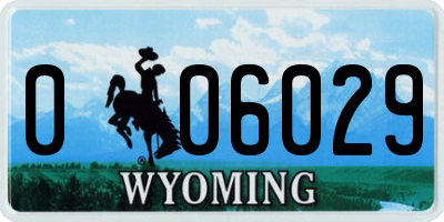 WY license plate 006029