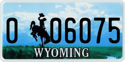 WY license plate 006075