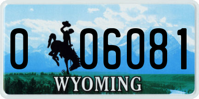 WY license plate 006081