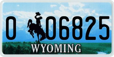 WY license plate 006825