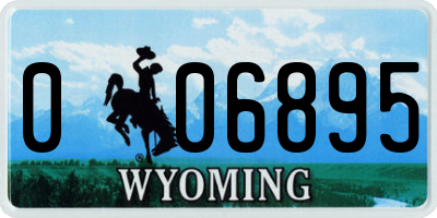 WY license plate 006895