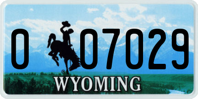 WY license plate 007029