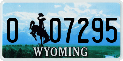 WY license plate 007295