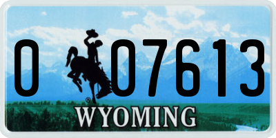 WY license plate 007613