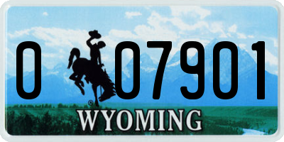 WY license plate 007901