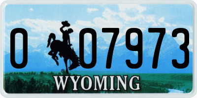 WY license plate 007973