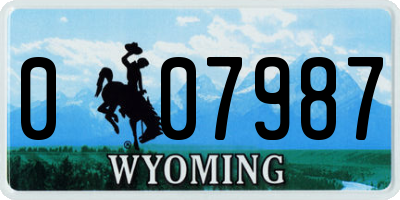 WY license plate 007987