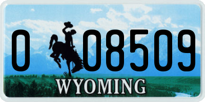 WY license plate 008509