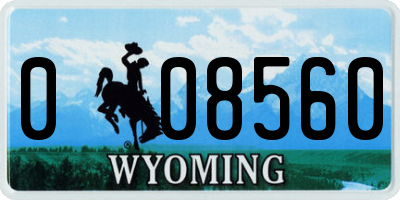 WY license plate 008560