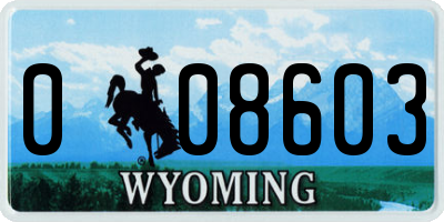 WY license plate 008603