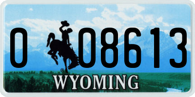 WY license plate 008613