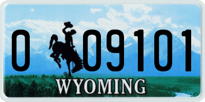 WY license plate 009101