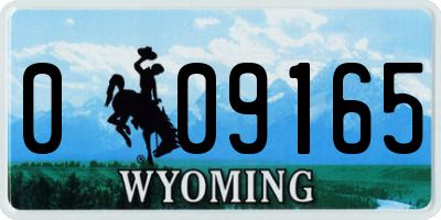 WY license plate 009165