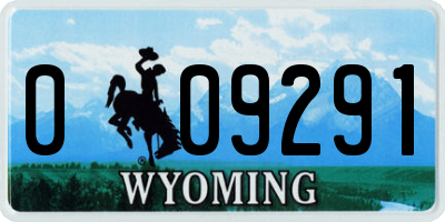 WY license plate 009291