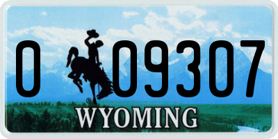 WY license plate 009307