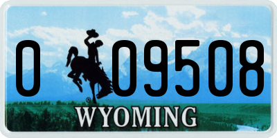 WY license plate 009508