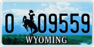 WY license plate 009559