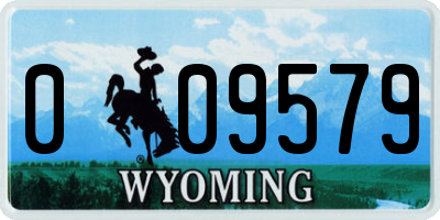 WY license plate 009579