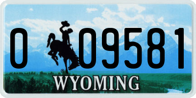 WY license plate 009581