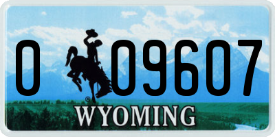 WY license plate 009607
