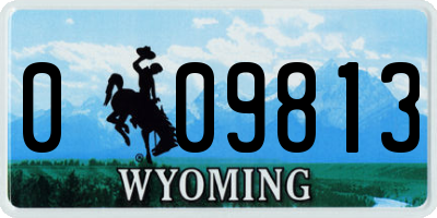 WY license plate 009813