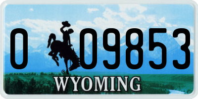 WY license plate 009853