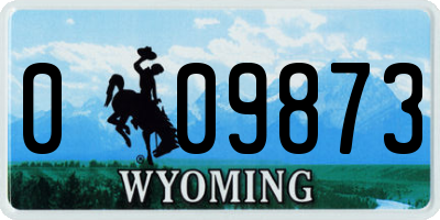 WY license plate 009873