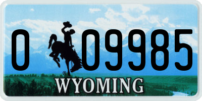 WY license plate 009985