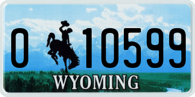 WY license plate 010599