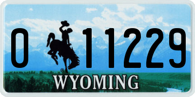 WY license plate 011229