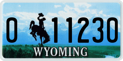 WY license plate 011230