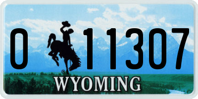 WY license plate 011307