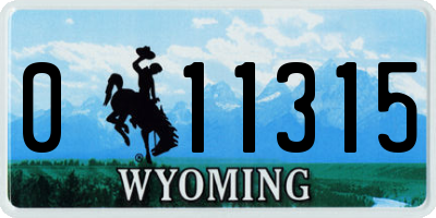 WY license plate 011315