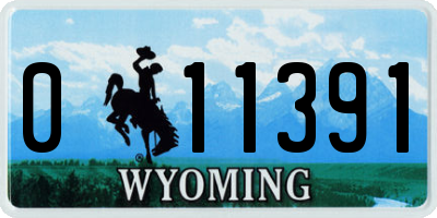 WY license plate 011391