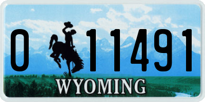 WY license plate 011491