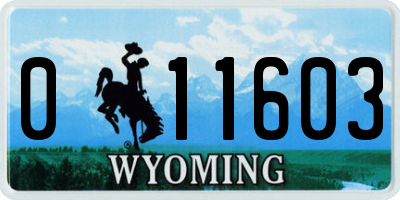 WY license plate 011603