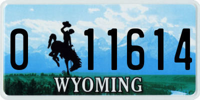 WY license plate 011614