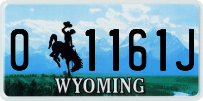 WY license plate 01161J