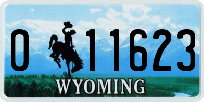 WY license plate 011623