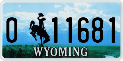 WY license plate 011681